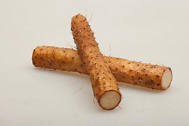 雷电新作《雷电新星》Steam页面上线 11月1日发售